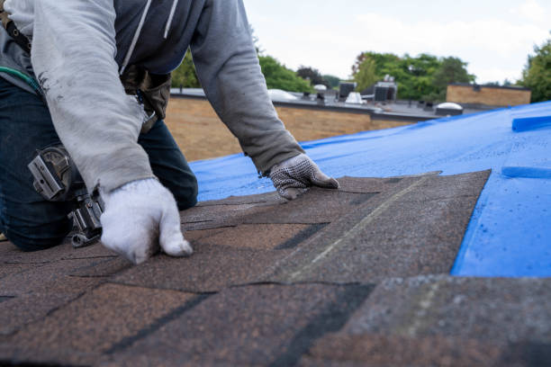 Best Residential Roof Replacement  in University Center, VA