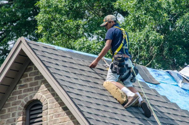 Best Roofing Contractor Near Me  in University Center, VA
